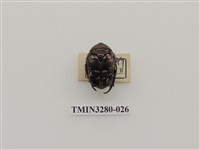 藏品(紫豔白點花金龜)的圖片